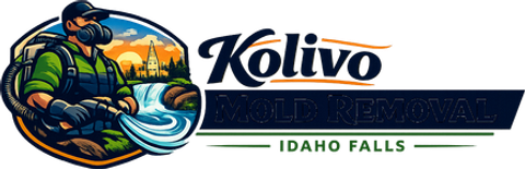 Kolivo Mold Removal Idaho Falls